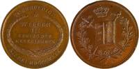 Netherlands Historical medal Inauguration du Roi Willem III à Amsterdam / J. P. Schouberg -