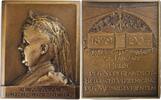 Netherlands Historical medal Reine Emma, 25 ans aux Pays-Bas - Par J.C. Wienecke -