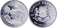 Somalia 200 Shillings 2 Unze Feinsilber, selten angeboten! -