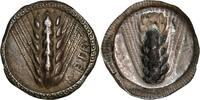 Stater 510-470 avant J.-C. from Metapontion in Lucania (510-470 BC)