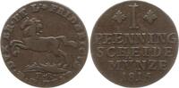 Braunschweig-Wolfenbüttel 1 Pfennig Friedrich Wilhelm, 1805 - 1815 -