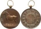 Belgien, Königreich, Limburg, Stadt Hasselt Tragbare Bronzemedaille Albert I., 1909 - 1934, v. L. Philippen St. Truiden, Gesell. der Pferdezüchter -