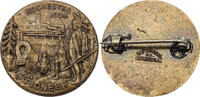 USA Abzeichen Rochester New York Centennial Advertising Souvenir Brass Pin -