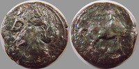 Zeugitane Carthage, Zeugitania Karthago ZEUGITANE, CARTHAGE, Zeugitania Karthago, vers 241-221 avant Jc, tête de Tanit / cheval, 7,39 grms, SNG COP.261 Variante TB+ -