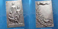 Assurance, Mutualité bronze Assurance, Mutualité, plaquette en bronze argenté, la mutualité couronnant la solidarité, 60x38mm, 60,98g, TTB à SUP -