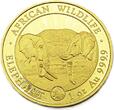 Somalia 1000 Schilling 2020 African Wildlife,RAR! Auflage 100 Stück FB (PP) Proof