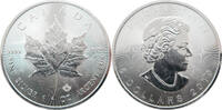 Kanada 5 Dollar Elisabeth II. - Maple Leaf -