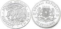 Somalia 100 Schilling / 1 Oz 2013,selten! African Wildlife Polierte Plat... 125,00 EUR  + 13,95 EUR frais d'envoi