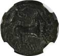 Greece 288-279 BC SICILY. Syracuse. Hicetas (ca. 288-279/8 BC). AE 20 mm NGC Ch VF Sear# 1210 (9)
