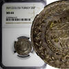 Turkey 20 Para 1833 Turkey Mahmud II Silver AH1223 26 (1833)  NGC MS64 T... 150,31 EUR  + 12,88 EUR frais d'envoi