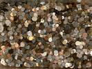 Unknown Pound Lot 1Lb World Foreign Coins Unsearched Free shipping! -