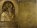 Austria Medal AUSTRIA Plaque 1925 by L.Hujer Anton Viktor Felgel-Farnholz 81.88 g. (067) -