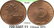 Türkei 5 Kurus *405a KM890.2 -- 2 Gramm . 709.0307.11 -