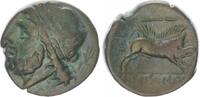 Antikes Griechenland/ Kalabrien Tarent AE 20 APULIA, Arpi Laureate head of Zeus left; thunderbolt to right / Boar standing ri -