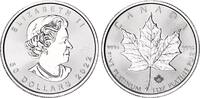 Kanada 50 Dollar Maple Leaf Platin 1 Unze -