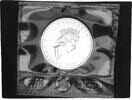 Kanada 5 Dollar 1oz Silber Maple Leaf -
