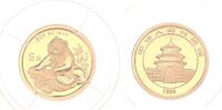 China 5 Yuan Gold 1998 Panda, 1/20 Unze Gold! selten FDC in Kapsel