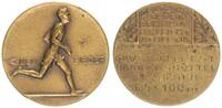 Hankensbüttel Sportmedaille Sportmedaille, Hankensbüttel -