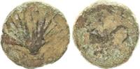 Antikes Griechenland/ Kalabrien Tarent AE 16 Kalabrien Tarent ?, Muschel/ Delphin -