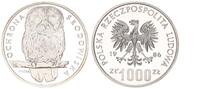 Polen 1000 Zloty Polen 1000 Zloty 1986 PP Silber Probe - PROBA, Eule Serie Umweltschutz -