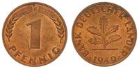Deutschland - BRD 1 Pfennig 1 Pfennig Bank deutscher Länder - BRD 1 Pfennig 1949 F -