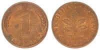 Deutschland - BRD 1 Pfennig 1 Pfennig Bank deutscher Länder - BRD 1 Pfennig 1949 F -