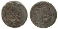 Antikes Griechenland AE von Pantikapapaion Griechenland AE 20 von Pantikapapaion 3. Jh.v.Chr. -