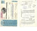 Amerika 100 Anteilsschein der Great American Holding Corporation -