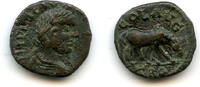 Roman Provincial AE19 of Gallienus , Alexandria Troas, Roman Empire (Bellinger A451) -