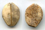 China Ancient bone cowrie-coin (no teeth/holes), W.Zhou, 1046-771 BC, China (Schjoth#A7) -