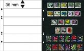 Multi collect Blätter mit 6 Streifen (36 mm) pro Seite, schwarz, 10er-Packung -