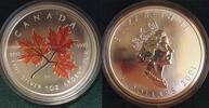 Kanada 5 Dollars (1 Unze Silber) Canada 2001, 1 ounce fine silver, partially coloured, no box/no COA -