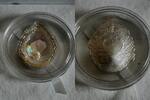 Palau-Inseln 5 Dollars republic of palau, silver, convex hologram, shell shape, pearl, box/coa -