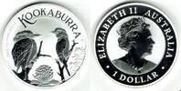 Australien 1 Dollar australia, kookaburra 2023, 1 ounce -