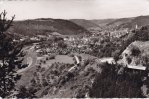 Horb am Neckar Ansichtskarte/Postkarte/Horb am Neckar/Ansicht vom Rauschbart -