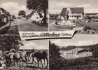 Silberborn/Solling/Holzminden Ansichtskarte/Postkarte/Gruß aus dem Höhenluftkurort Silberborn/Solling -