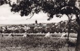 Großrinderfeld i. Baden Ansichtskarte/Postkarte/Großrinderfeld i. Baden -