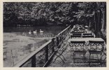 Dobrock/Oberndorf Ansichtskarte/Postkarte/Waldschlößchen Dobrock -