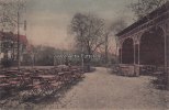 Hannover Ansichtskarte/Postkarte/Stadt-Park -