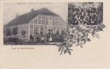 Südmentzhausen Ansichtskarte/Postkarte/Gruss aus Süd-Mentzhausen/Wirtschaft u. Handlung v. ... -