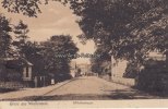 Westerstede Ansichtskarte/Postkarte/Gruss aus Westerstede./Wilhelmstrasse. -