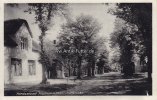 Nieblum/Föhr Ansichtskarte/Postkarte/Nordseebad Nieblum a. Föhr. Dorfstraße. -