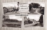 Albersdorf Ansichtskarte/Postkarte/Luftkurort Albersdorf in Holst. -