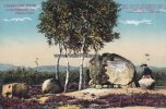 Hösseringen/Suderberg Ansichtskarte/Postkarte/Lüneburger Heide./Landschaftsplatz bei Hösseringen. -