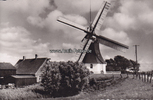 Garding/Eiderstedt Ansichtskarte / Postkarte / Eiderstedt - Welter Mühle (Meeder) -