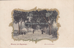 Bagamoyo / Deutsch-Ostafrika / Tansania Ansichtskarte / Postkarte / Prägekarte / Mission de Bagamayo./Allée du Cimetiére. -