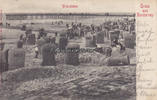 Norderney Ansichtskarte / Postkarte Gruss aus Norderney - Strandleben -