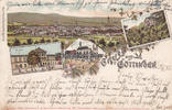 Göttingen Ansichtskarte / Postkarte / Litho Gruss aus Göttingen - Aula., Rathaus., Rohns. -