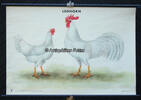 Bundesrepublik Deutschland 50er Jahre Schulwandkarte / Schul Lehrtafel / Rollbild Karte / Biologie / Leghorn / Huhn 3