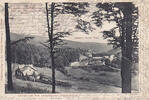 Brilon-Wald / Brilon Ansichtskarte / Postkarte / Grüsse aus dem romantischen Hoppeckethal / Bahnhof.. -